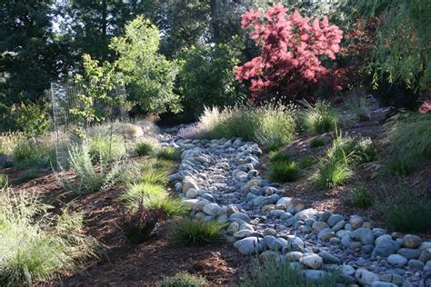 Dry Creek Bed Design