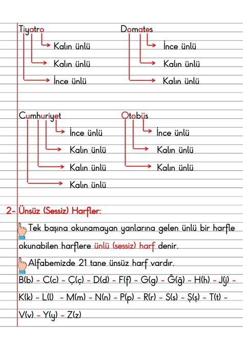 2 Sınıf Türkçe Dersi Dil Bilgisi Defter Notları