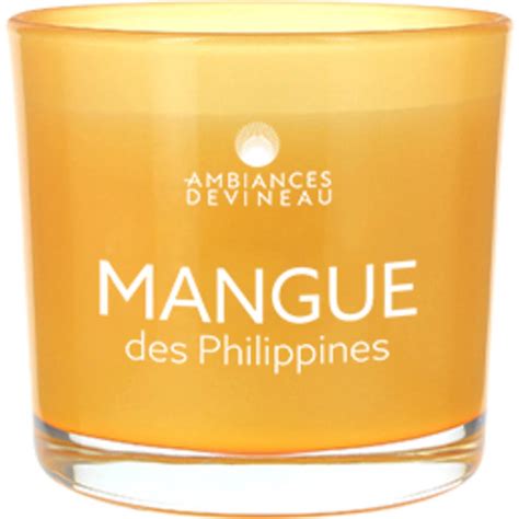 Achat Ambiances Devineau Bougie parfumée verre Mangue des Philippines