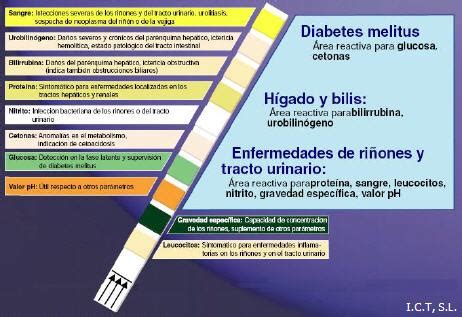 Orina Tiras Reactivas Para An Lisis De