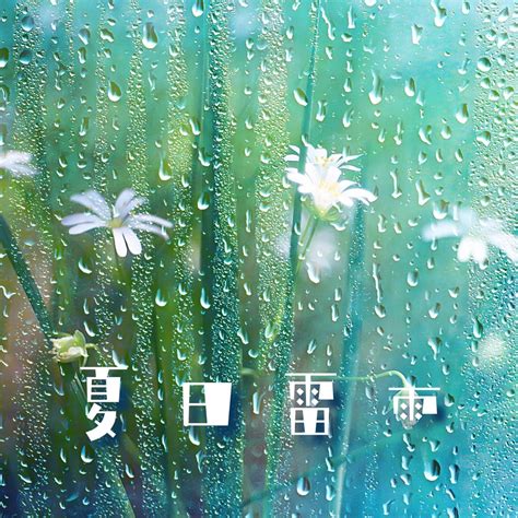 ‎apple Music 上白噪音的专辑《夏日雷雨 Asmr的雨声催眠效果的大自然声音助眠的下雨声深度睡眠的声音收藏》