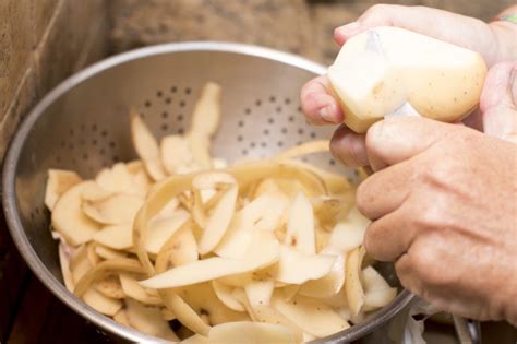 Man peeling fresh potatoes for cooking - Free Stock Image