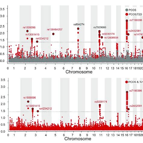 Manhattan Plot Showing 11 Genetic Loci Associated With Pcos Orand T2d