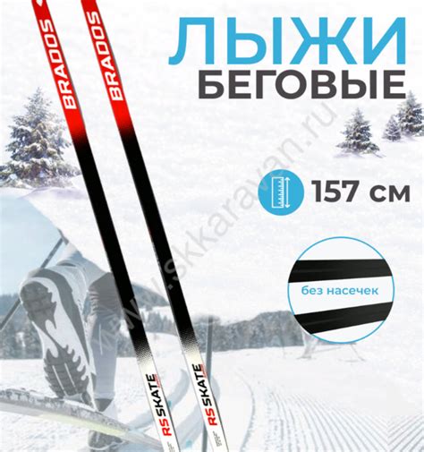 Купить RSSJ/146-165 Лыжи STC BRADOS RS SKATE Junior | СК "Караван"