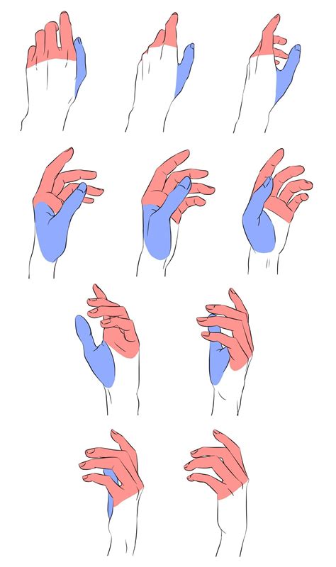 【体の描き方】手を描くときのポイント 面倒くさがりな Handreference Hand Reference