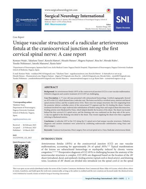 Pdf Unique Vascular Structures Of A Radicular Arteriovenous Fistula