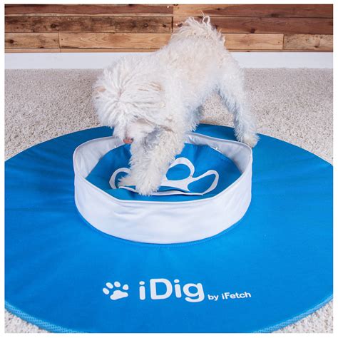 How To Stop Dog Digging In Water Bowl