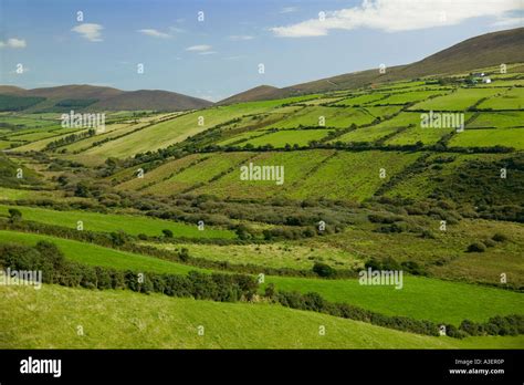 Countryside in Ireland Stock Photo - Alamy