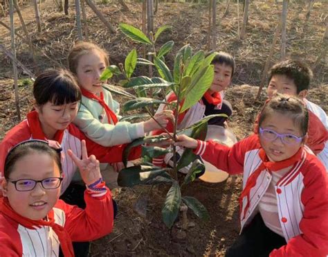 劳动实践，绿色体验——徐龙小学开展植树活动 校园·家庭 启东信息港 一起看启东