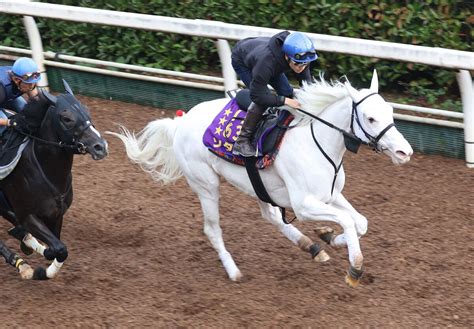 【注目馬動向】ソダシが坂路で54秒1ー12秒1 吉田隼人騎手「雰囲気は変わらずいいです」 Umatoku 馬トク