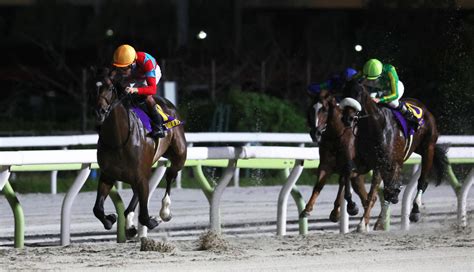 【東京ダービー】三浦皇成やったぞ！ラムジェットがjra初の東京ダービー馬に輝く！ 共通 競馬写真ニュース 日刊スポーツ