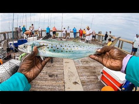 Pensacola Beach Fishing Pier Is On Fire Finally Re Opened There S Fish