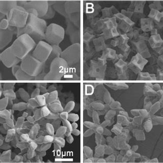 Sem Images Of Agcl Crystals Synthesized Without Pdda A Ag Cl