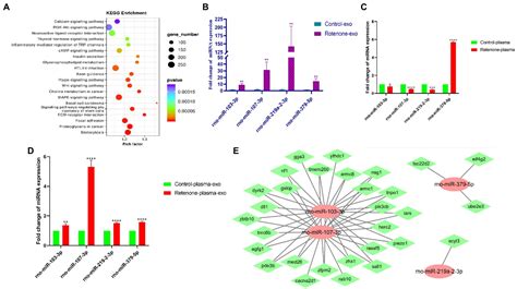 Frontiers Micrornas Profiling Of Small Extracellular Vesicles From