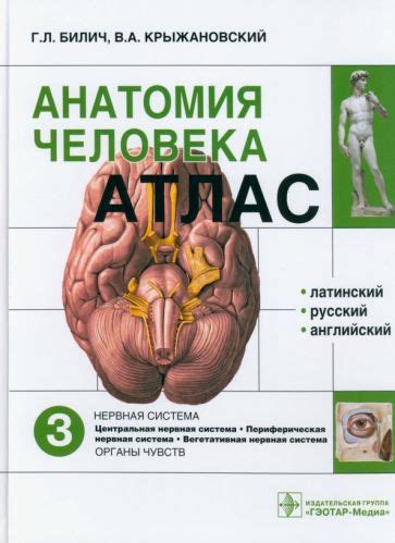 Книга: "Анатомия человека. Атлас. В 3-х томах. Том 2. Внутренние органы ...
