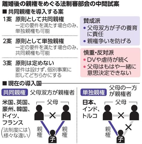 離婚後の共同親権の中間試案 吉村やすのり 生命の環境研究所