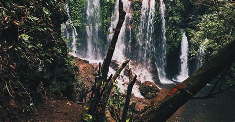 A Waterfalls in the Jungle · Free Stock Photo