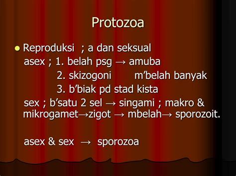 Ppt Protozoa 1 Powerpoint Presentation Free Download Id2119997