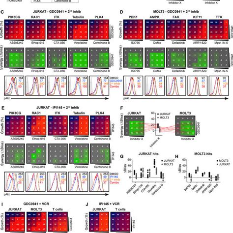 Synthetic Lethal Shrna Screens With A Leukemia Platform A Schematic