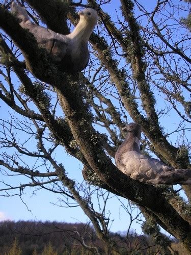 Sculpture Exhibition at Rosemoor. | Lead up the Garden Path