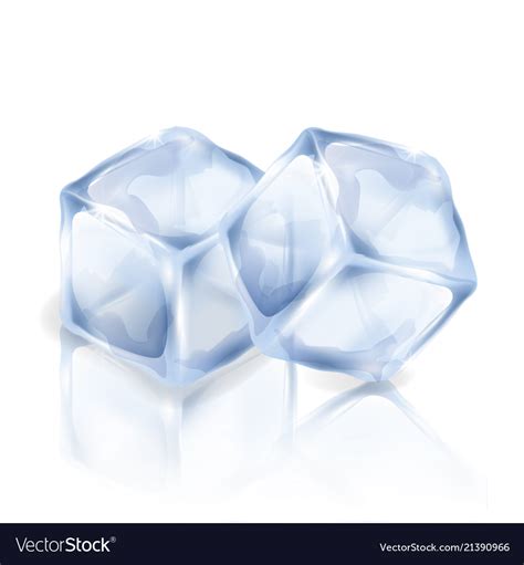 Two Ice Cubes Isolated On The White Background Vector Image