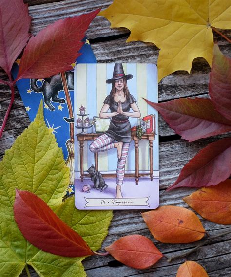 Everyday Witch Tarot Deck Review And Card Images