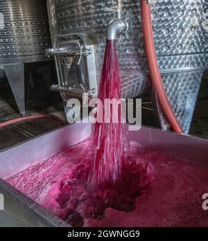 Azienda Vinicola Che Produce Vino Uva Ju In Vasca Vasche Di