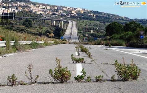 Ponte Morandi Di Rosa quando sarà riaperto commercianti al collasso