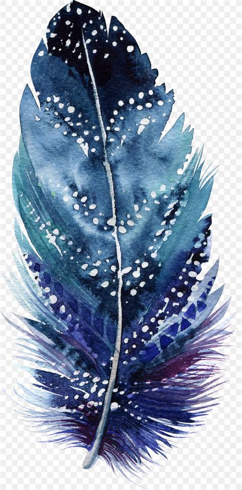 Watercolor Painting Drawing Feather Art Illustration Png 1200x2431px