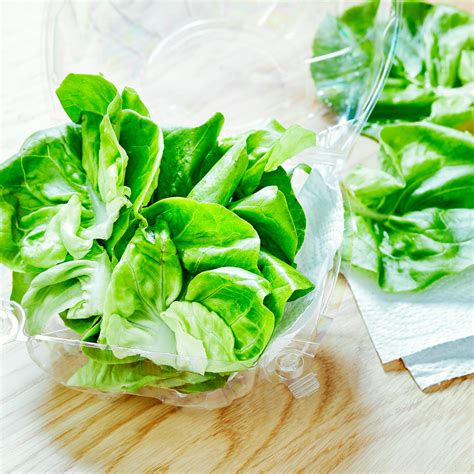 So Fresh And So Green Green How To Store Leafy Greens So Fresh So