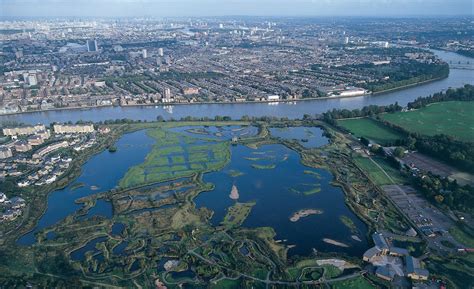 The Worlds Cities Rely On The Worlds Wetlands By Wwf Medium