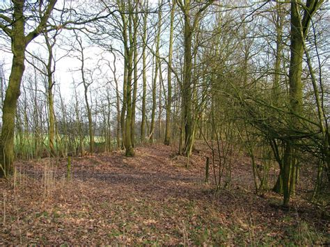 Oud Beeldmateriaal Uit Coelhorst Oozo Nl