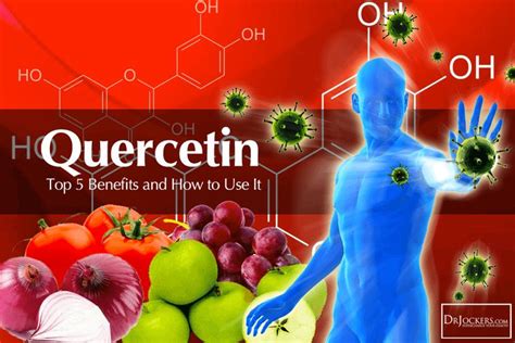 Quercetin Top 5 Benefits And How To Use It Quercetin