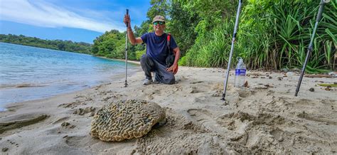 Rainforest Trek to Secluded Beach of Havelock – Sai Chintala's Blog