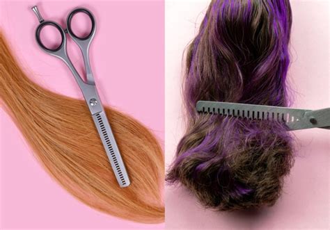 How To Use Thinning Shears in 5 Simple Steps – HairstyleCamp