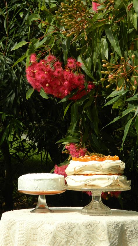 2016 Australia Day Baking (recipes by Maggie Beer) 'Australian Native Fruitcake' filled with ...