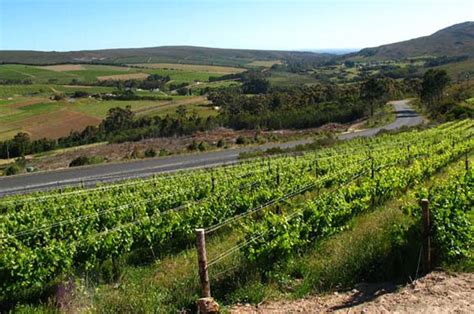 Cape Agulhas Wine Estates