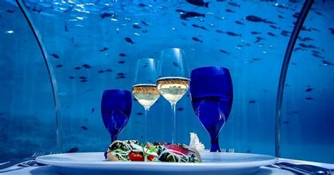 Top 9 maldives underwater restaurant in 2022 | Blog Hồng