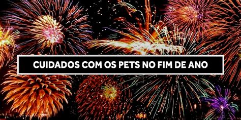 FESTAS DE FIM DE ANO SAIBA QUAIS SÃO OS PRINCIPAIS CUIDADOS OS