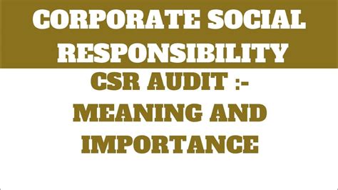 Csr Audit Meaning Importance Corporate Social Responsibility Bba Mba