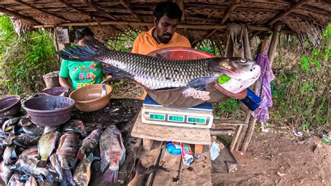 Wow Big Catla Fish Cutting Skills In Best Village Fish Market Sri