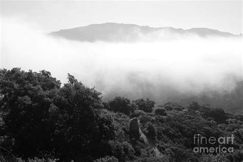 Grey Fog Photograph by Katherine Erickson - Pixels