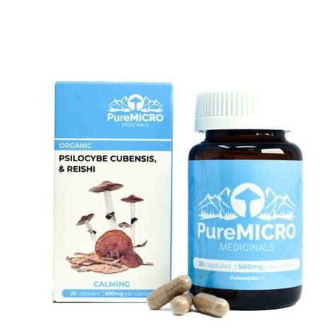 Buy Puremicro Microdose Mushroom Capsules In Canada Budlyft