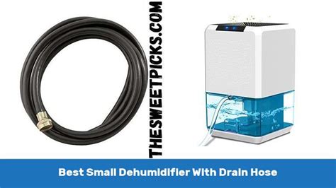 The 10 Best Small Dehumidifier With Drain Hose - The Sweet Picks