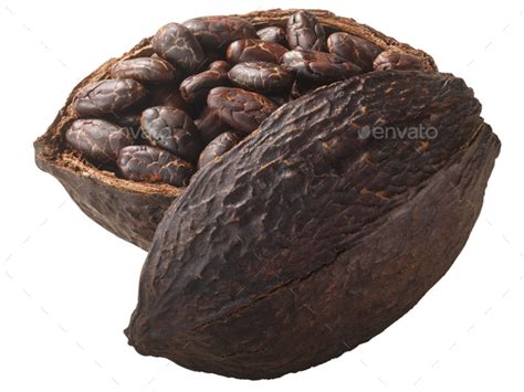 Halved cocoa pod with whole fermented cacao beans (Theobroma cacao ...