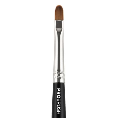 Probrush Eye Brush Sinart Buy At The Best Price In Ukraine Sinart Me