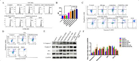 Cell proliferation assay, cell apoptosis assay, and Western blots of ...