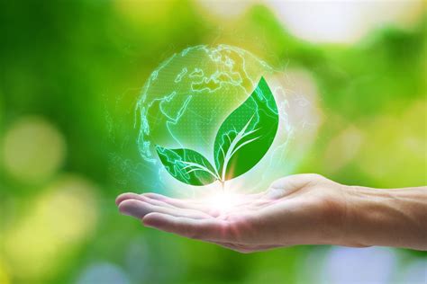 Centre for Environmental Studies 