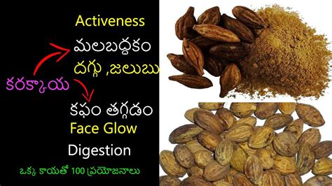 ||Karakkaya and its amazing health benefits in Telugu||harad||R9 Telugu ...