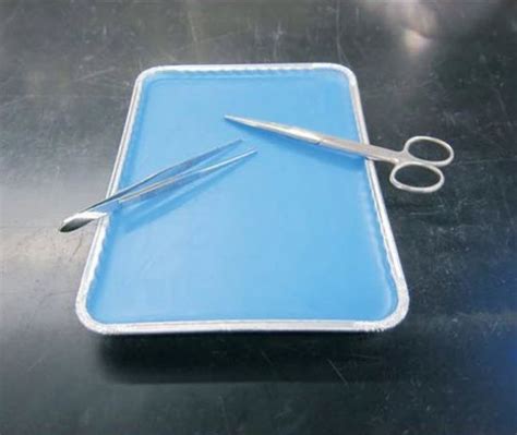 blue wax dissection tray